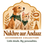 Pet Grooming Brush